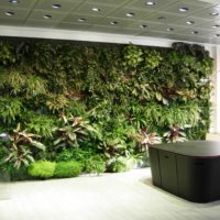 Giardino verticale | Giardino tropicale | Ufficio direttivo