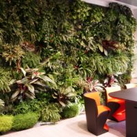 Giardino verticale | Giardino tropicale | Ufficio direttivo