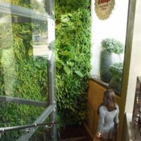 Giardino verticale Rigoni di Asiago Milano