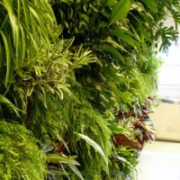 Giardino verticale | Giardino tropicale | Ufficio direttivo