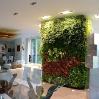 Giardini Verticale indoor | Residenza privata