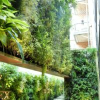Giardino verticale. Pisa orologeria, Milano