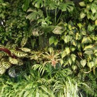 Giardino verticale | Giardino tropicale | Ufficio direttivo