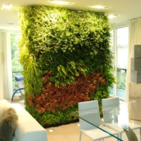 Giardini Verticale indoor | Residenza privata