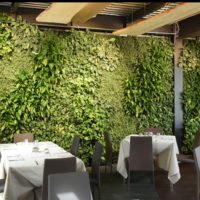 Ristorante il Dollaro, Monza. Giardino verticale