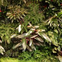 Giardino verticale | Giardino tropicale | Ufficio direttivo
