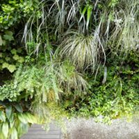 Giardino verticale. Pisa orologeria, Milano