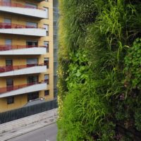 Giardino verticale. Autosilo del Buonconsiglio, Trento