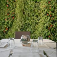 Ristorante il Dollaro, Monza. Giardino verticale