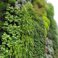 Giardino verticale. Autosilo del Buonconsiglio, Trento