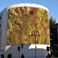 Giardino verticale. Autosilo del Buonconsiglio, Trento