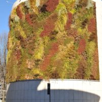 Giardino verticale. Autosilo del Buonconsiglio, Trento