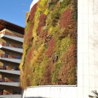 Giardino verticale. Autosilo del Buonconsiglio, Trento