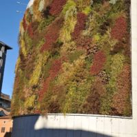 Giardino verticale. Autosilo del Buonconsiglio, Trento