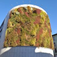 Giardino verticale. Autosilo del Buonconsiglio, Trento